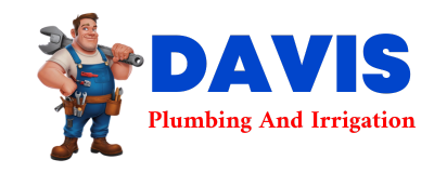 Trusted plumber in SNEEDVILLE